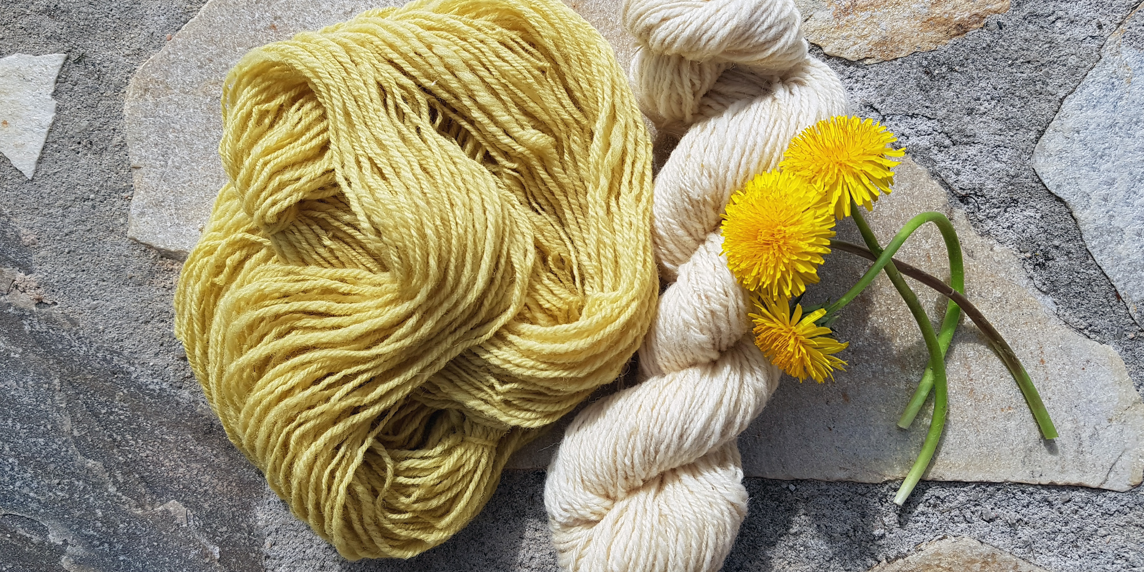 Natural Yellow Dyes for Yarn and Fabric - Rosemary And Pines Fiber